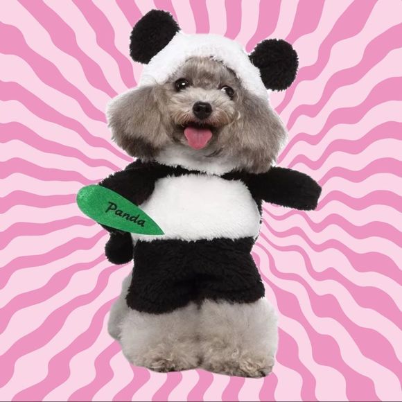 🐼Panda Standing Pet Costume🐼 - Picture 1 of 7